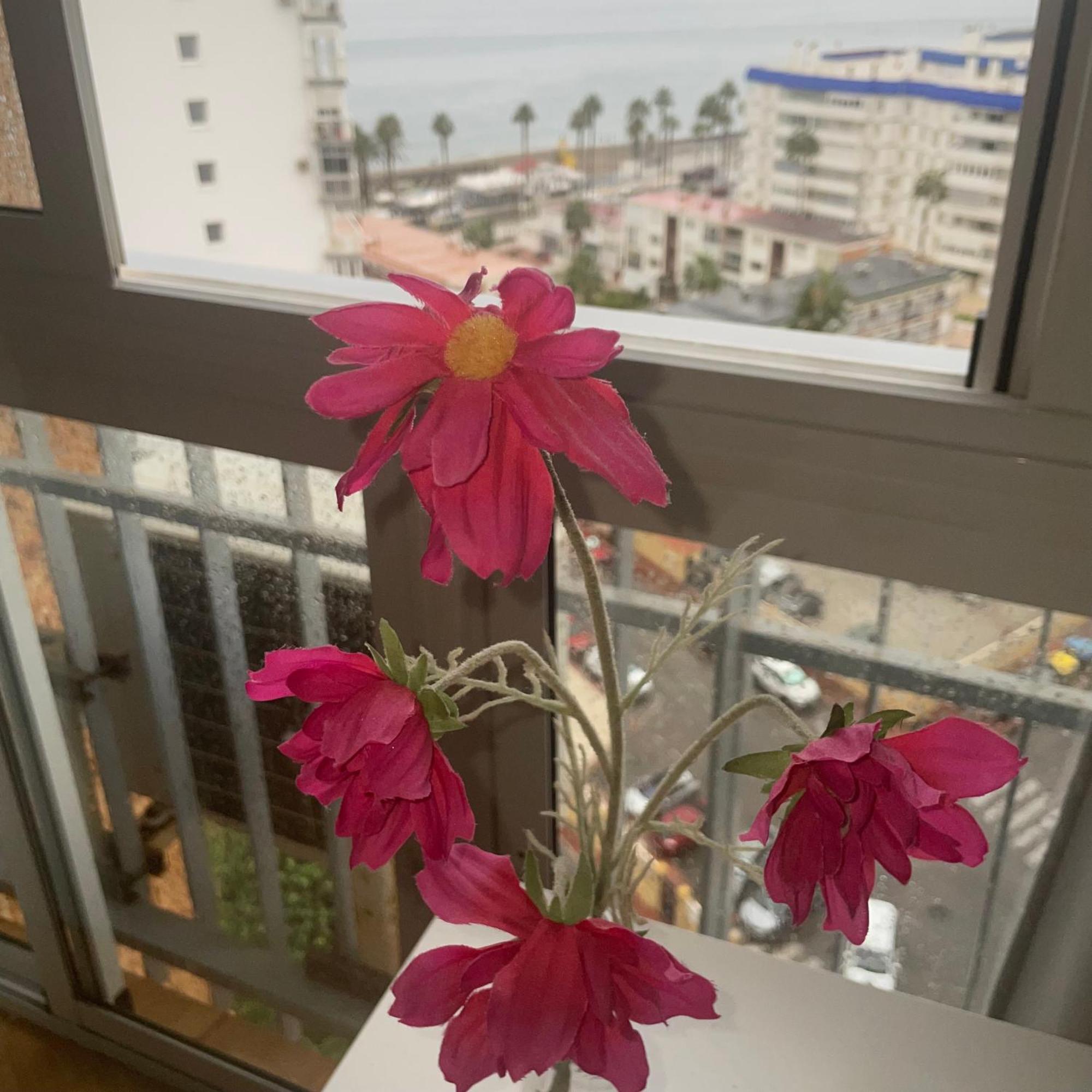 Benalmadena ,Apartamento-Estudio Primera Linea De Playa Bagian luar foto